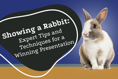 Showing a Rabbit: Expert Tips and Techniques for a Winning Presentation